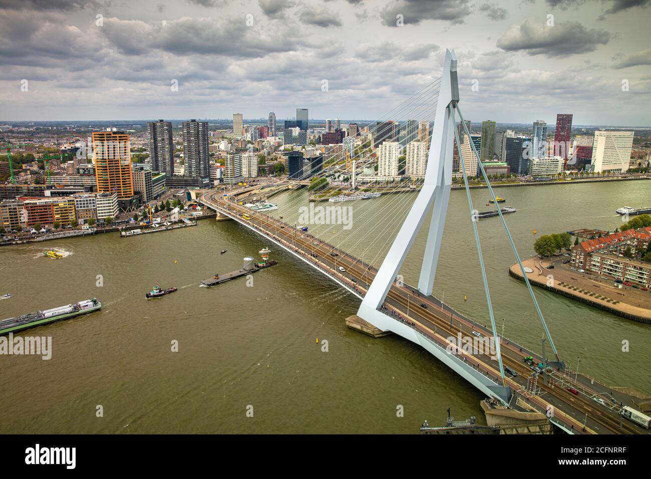 Niederlande, Rotterdam, Kop van Zuid, Erasmus-Brücke. Stockfoto