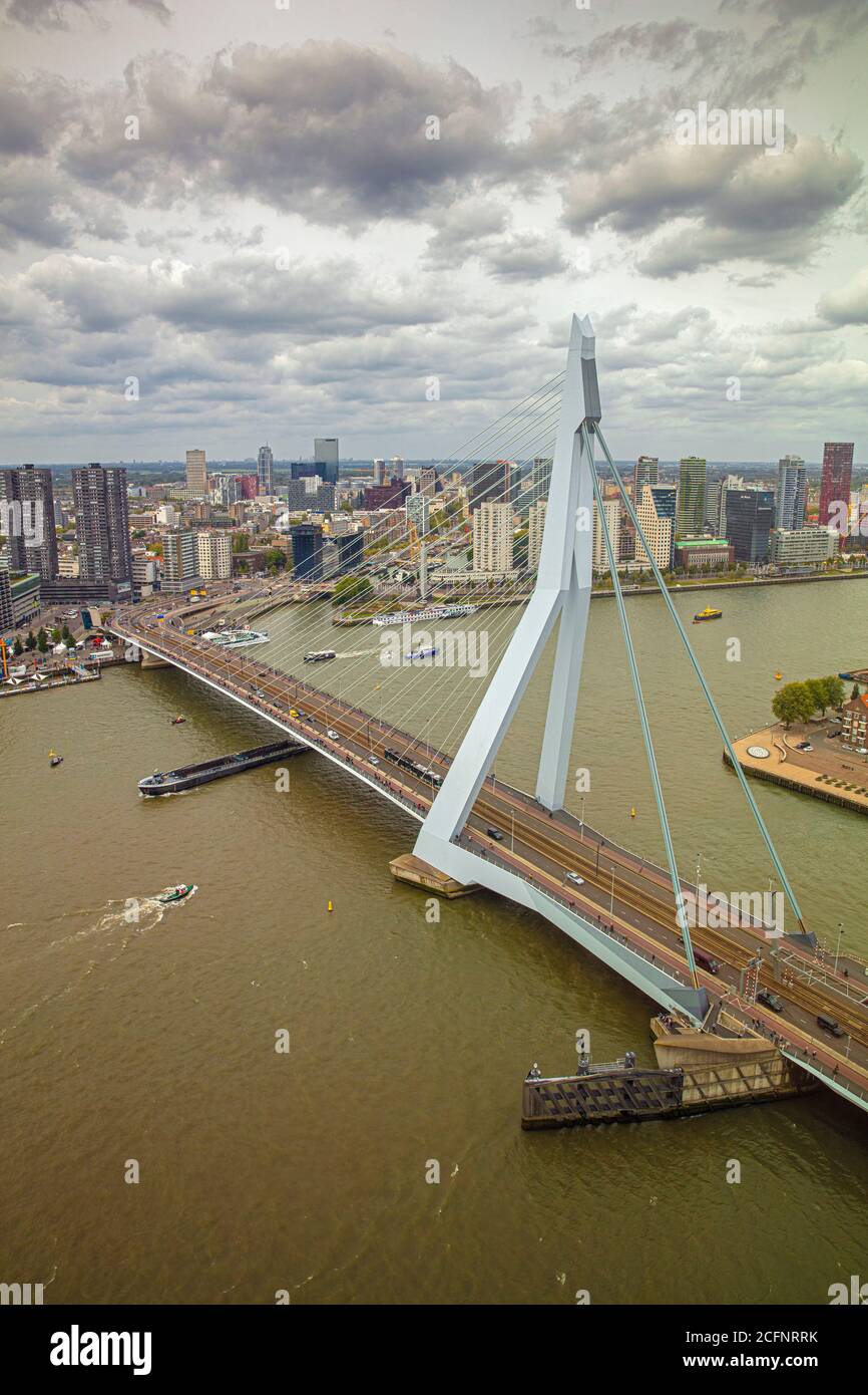 Niederlande, Rotterdam, Kop van Zuid, Erasmus-Brücke. Stockfoto