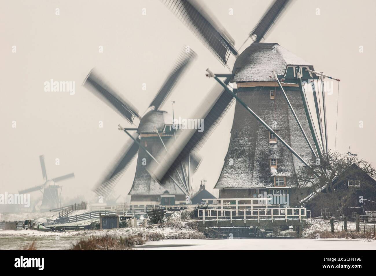 Niederlande, Aarlanderveen, Windmühlen im Schnee. Winter. Stockfoto