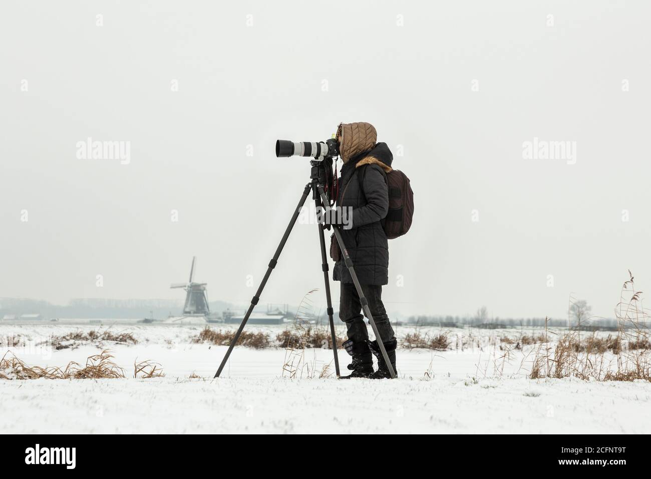Niederlande, Aarlanderveen, Fotograf Marjolijn van Steeden im Schnee. Winter. Stockfoto