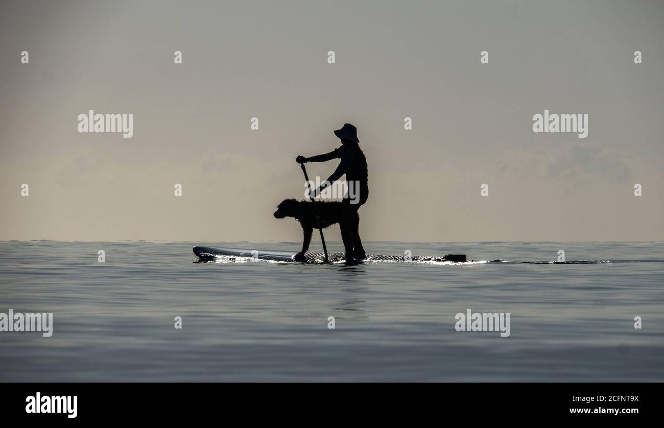 North Queensland Australien. Stand Up Paddle Boarding am Four Mile Beach in Port Douglas North Queensland. Stockfoto