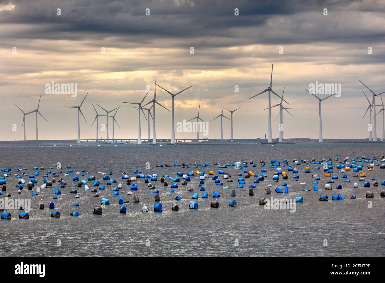 Niederlande, Bruinisse, Mussel Landwirtschaft in Oosterschelde Mündung. Windturbinen. Stockfoto