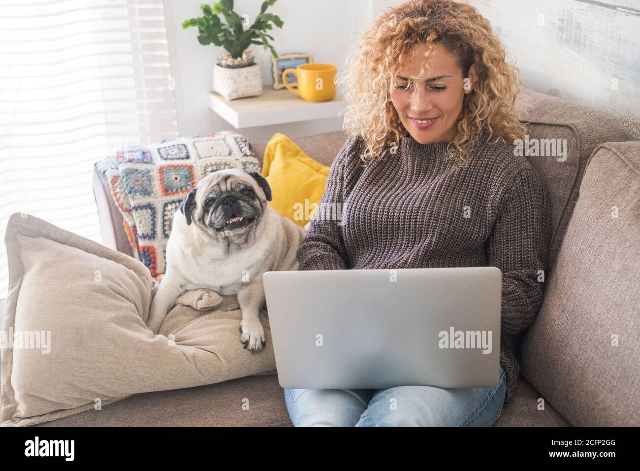 Erwachsene Frau tun intelligente Arbeit zu Hause mit Laptop-Computer Sitzen auf der Couch mit lustigen und schönen Hund Mops - Menschen und Tiere zusammen - Konzept von o Stockfoto