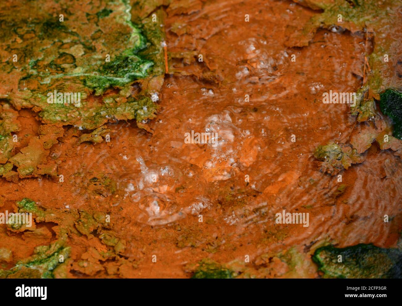Nahaufnahme der Mineralwasserquelle im Naturschutzgebiet Soos, Tschechische Republik Stockfoto