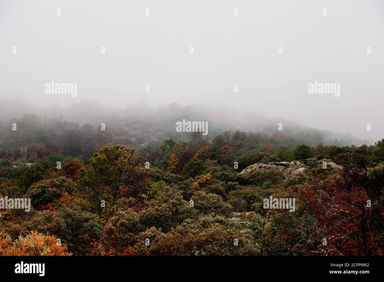 Wolken und Nebel bei schlechtem Wetter im Herbst in den Wäldern des Araitztals, Navarra Stockfoto