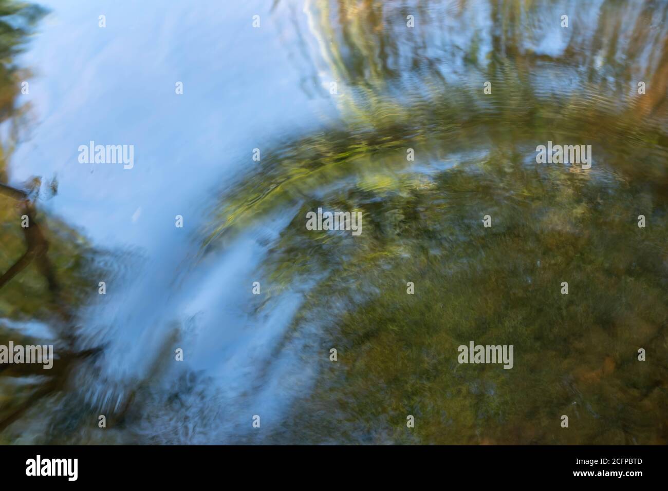 Schöne Wellen bewegen sich durch das Wasser eines Muschel-Waldteiches. Bäume und strahlend blauer Himmel sind sichtbar, mit Kopierraum. Stockfoto