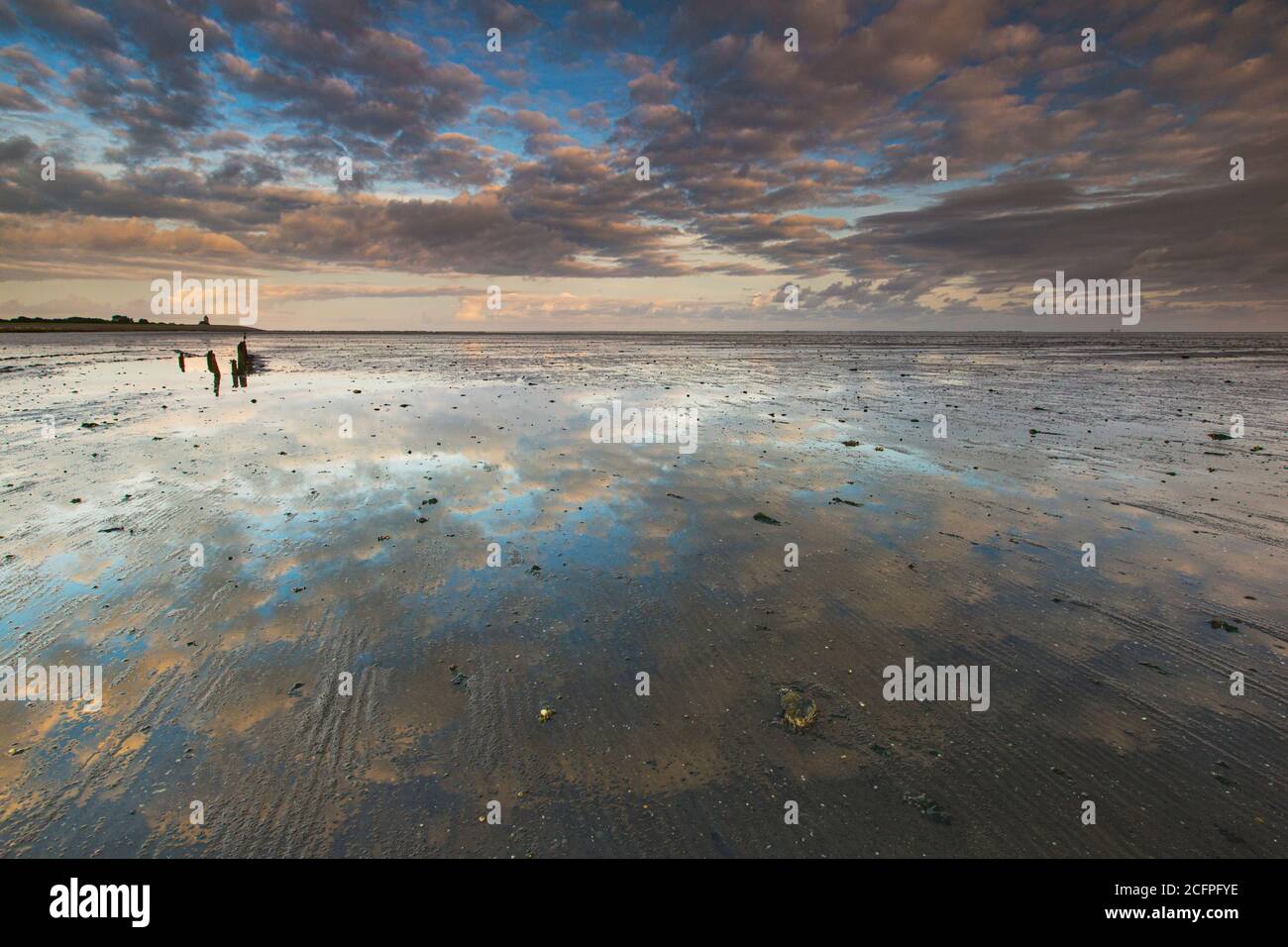 Wolkiger Himmel über dem Wattenmeer Wierumerwad, Niederlande, Friesland, Wierum Stockfoto