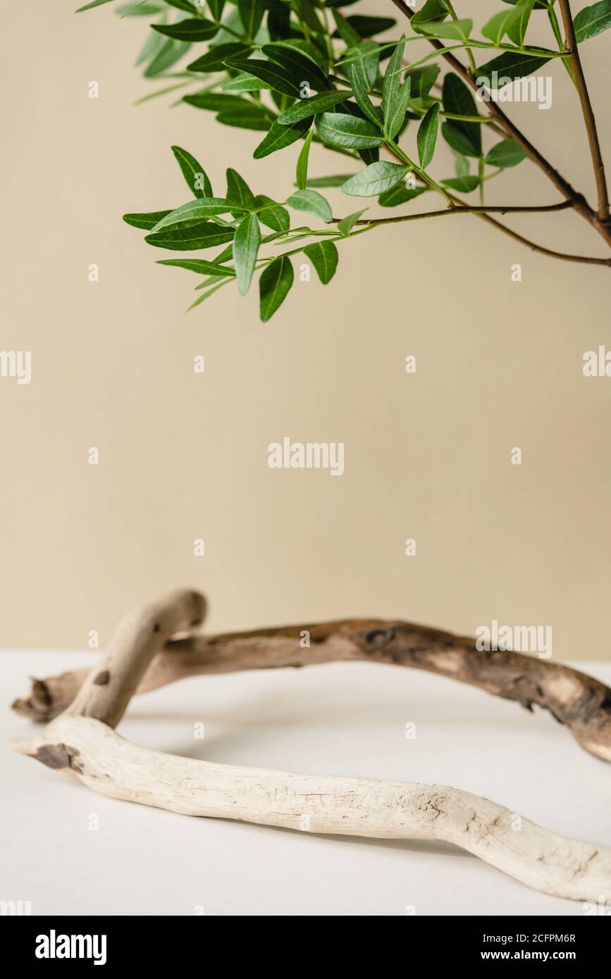 Natürlicher Hintergrund für kosmetische Produkte. Stockfoto