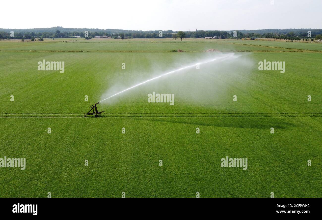 Ein Sprinkler bewässert eine Wiese auf einem heißen Trockenen Tag im Sommer auf dem Land in den Niederlanden Stockfoto