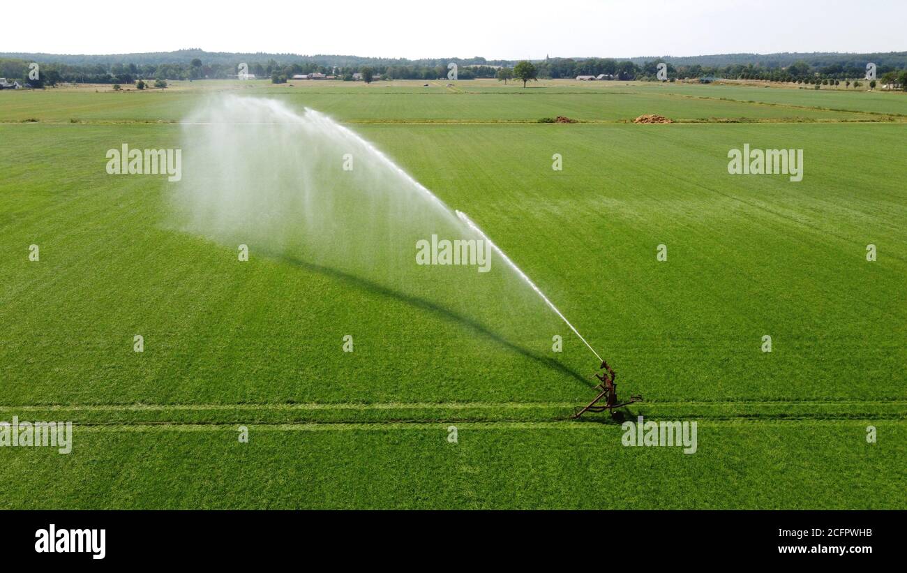 Ein Sprinkler bewässert eine Wiese auf einem heißen Trockenen Tag im Sommer auf dem Land in den Niederlanden Stockfoto