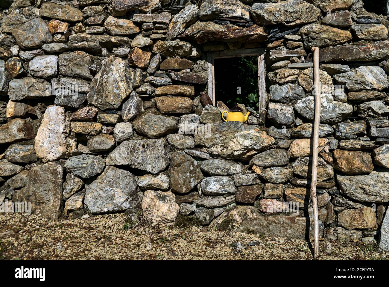 Elder's Stick und alte Teekanne vor der alten Steinmauer, Grafschaft Wicklow, Irland Stockfoto