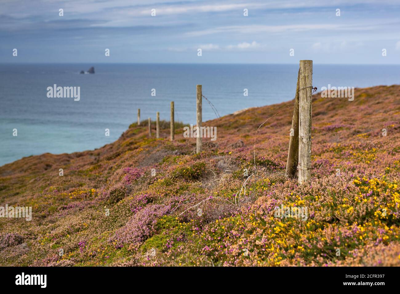 South West Coast Path, zwischen St. Agnes und Perranporth, Cornwall, Großbritannien Stockfoto
