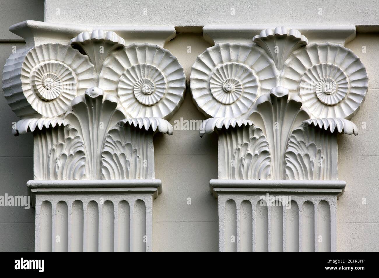 Ammonite Hauptstädte auf einem Haus entworfen vom Architekten Amon Wilds, in Western Terrace, Brighton. Stockfoto