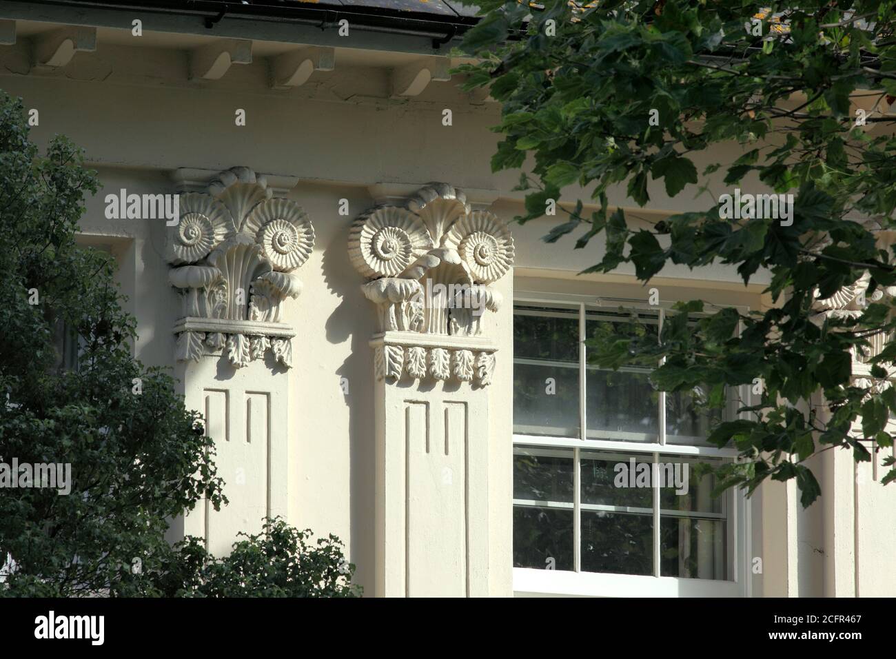 Ammonite Hauptstädte auf einem Gebäude entworfen vom Architekten Amon Wilds, in Richmond Terrace, Brighton. Stockfoto