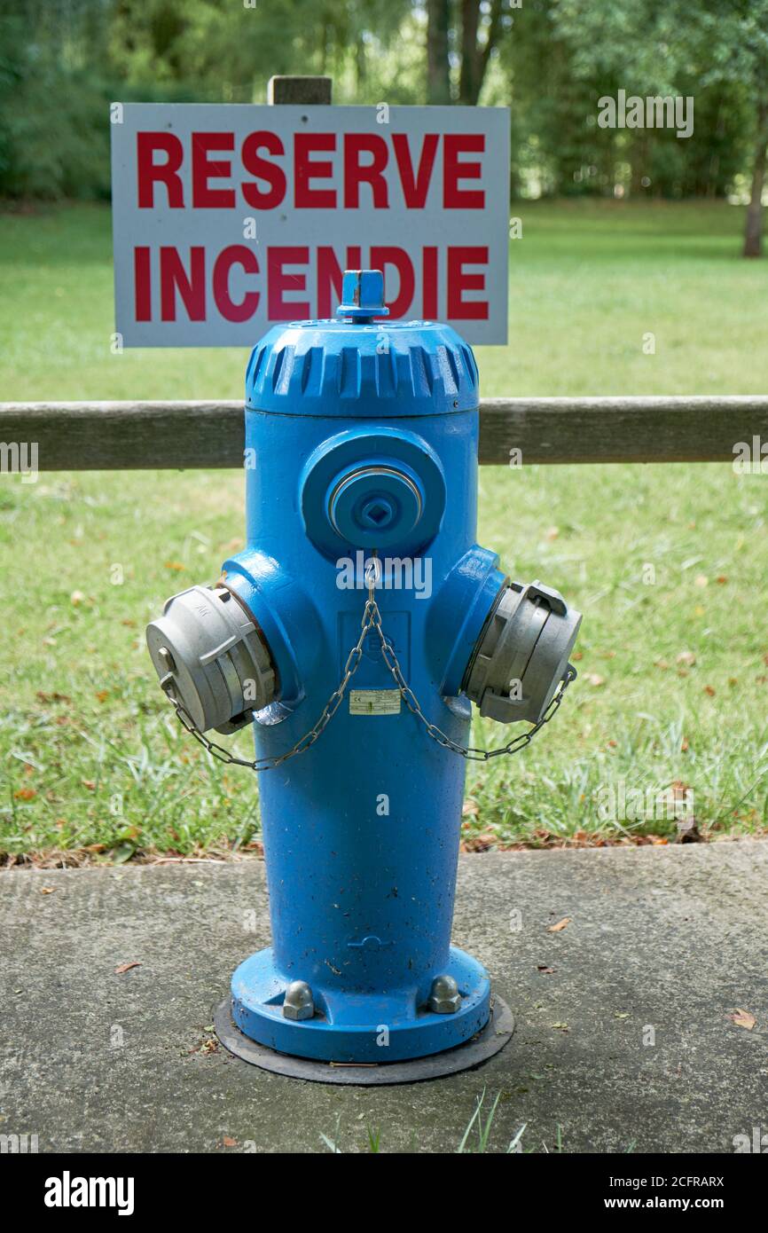 Blau gefärbter französischer Hydrant in einer Gartenanlage Stockfoto