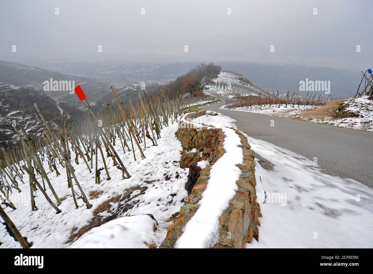 Am rechten Ufer der Rhone, südlich von Lyon, zwischen Ampuis, Saint-Cyr-sur-le-Rhone und Tupin-et-Semons, liegen schneebedeckte Weinberge von Cote-Rotie Stockfoto