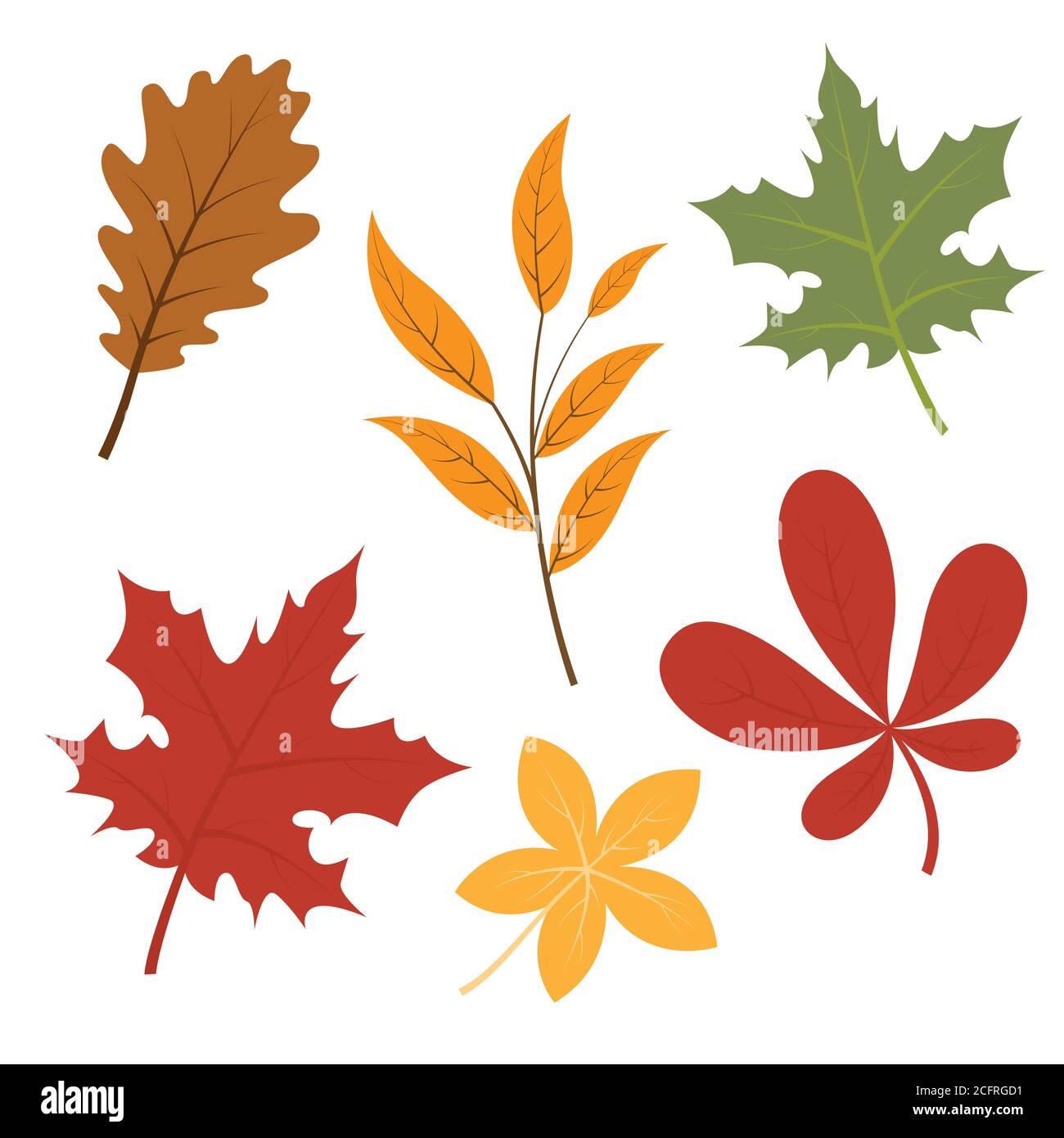 Set von Herbst Blätter, Cartoon-Vektor-Illustration Stock Vektor