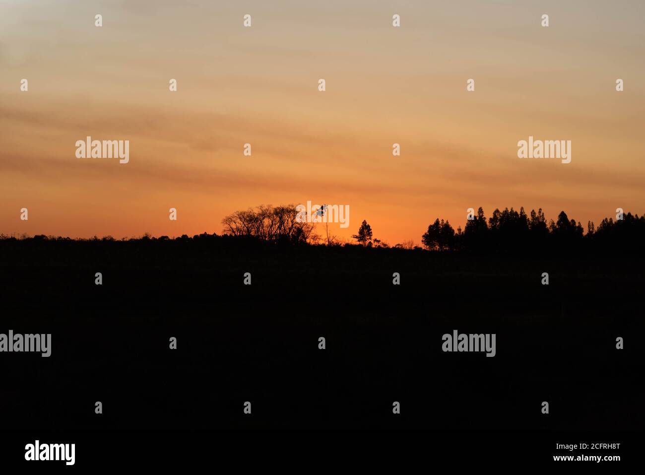 Am späten Nachmittag. Abenddämmerung in landwirtschaftlichen Gebieten. Pampa-Biom im Süden Brasiliens. Ländliche Landschaft. Innenraum des Staates Rio Grande do Sul. Rio Grande do Sul Kamera Stockfoto