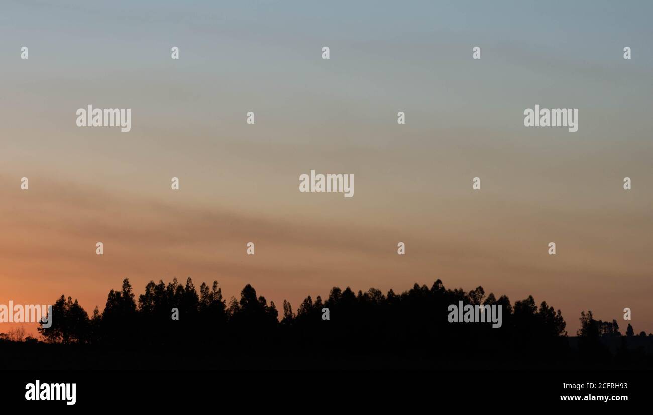 Am späten Nachmittag. Abenddämmerung in landwirtschaftlichen Gebieten. Pampa-Biom im Süden Brasiliens. Ländliche Landschaft. Innenraum des Staates Rio Grande do Sul. Rio Grande do Sul Kamera Stockfoto