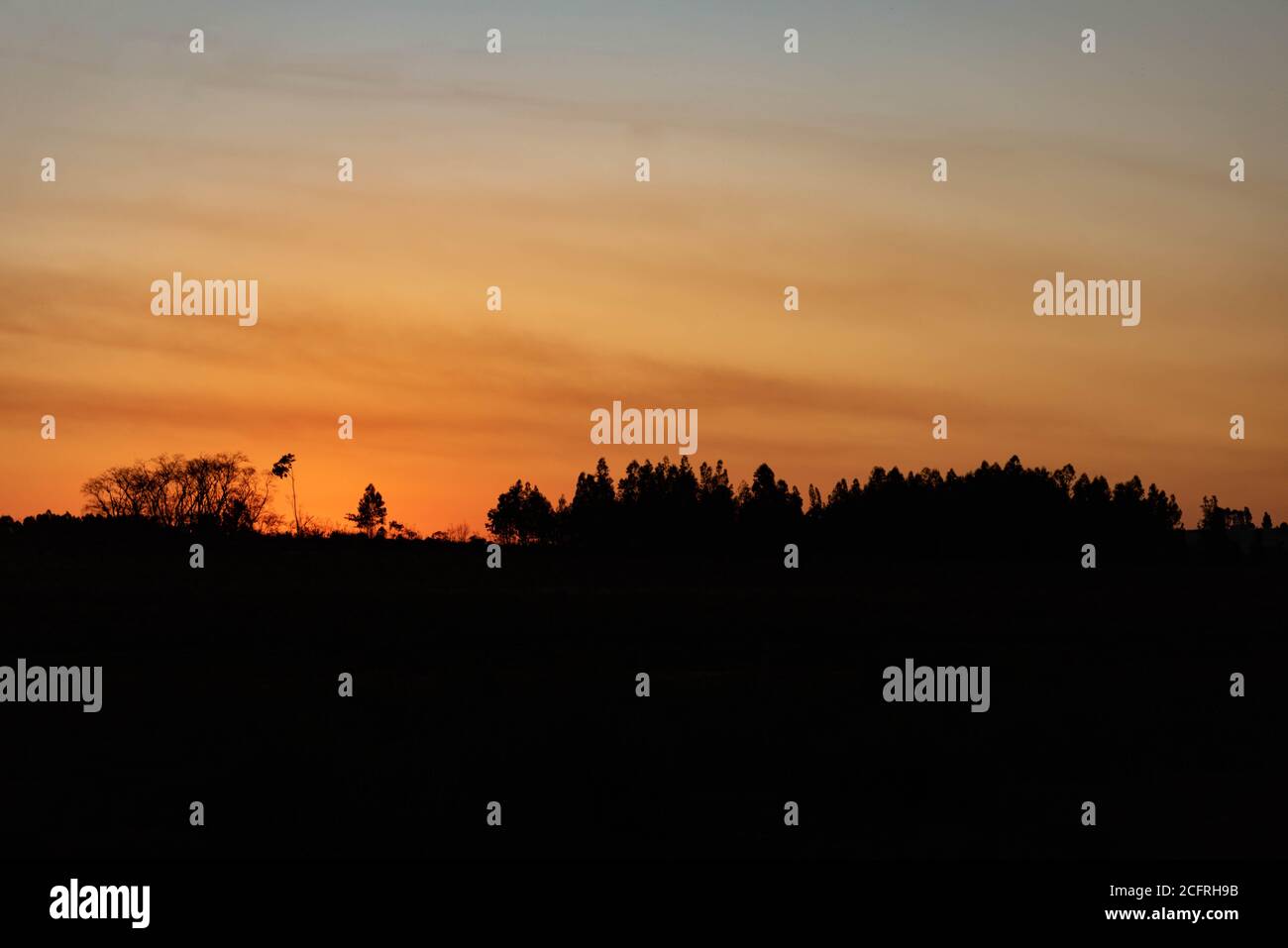 Am späten Nachmittag. Abenddämmerung in landwirtschaftlichen Gebieten. Pampa-Biom im Süden Brasiliens. Ländliche Landschaft. Innenraum des Staates Rio Grande do Sul. Rio Grande do Sul Kamera Stockfoto