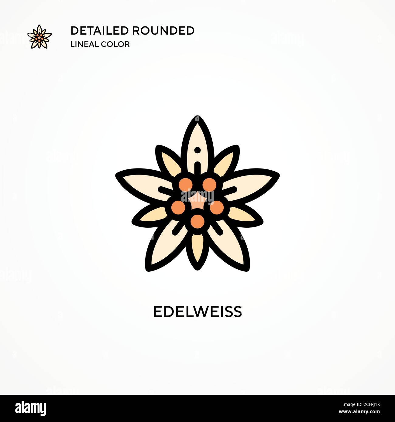 Edelweiss Vektorsymbol. Moderne Vektorgrafik Konzepte. Einfach zu bearbeiten und anzupassen. Stock Vektor