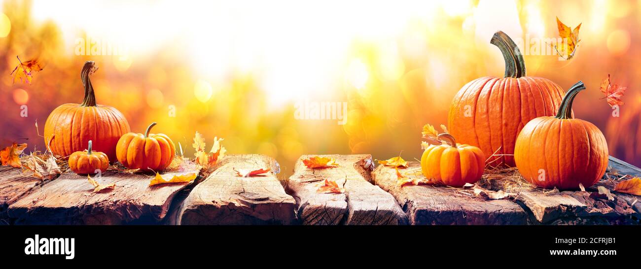 Kürbisse Auf Gealterter Plank Bei Sonnenuntergang - Herbst Und Ernte Tabelle Stockfoto