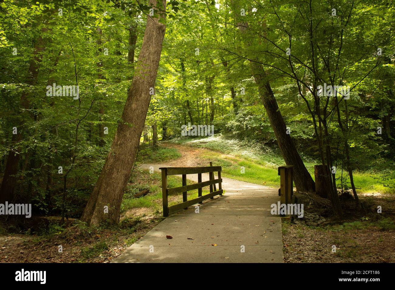 Bilder von der Natur Stockfoto