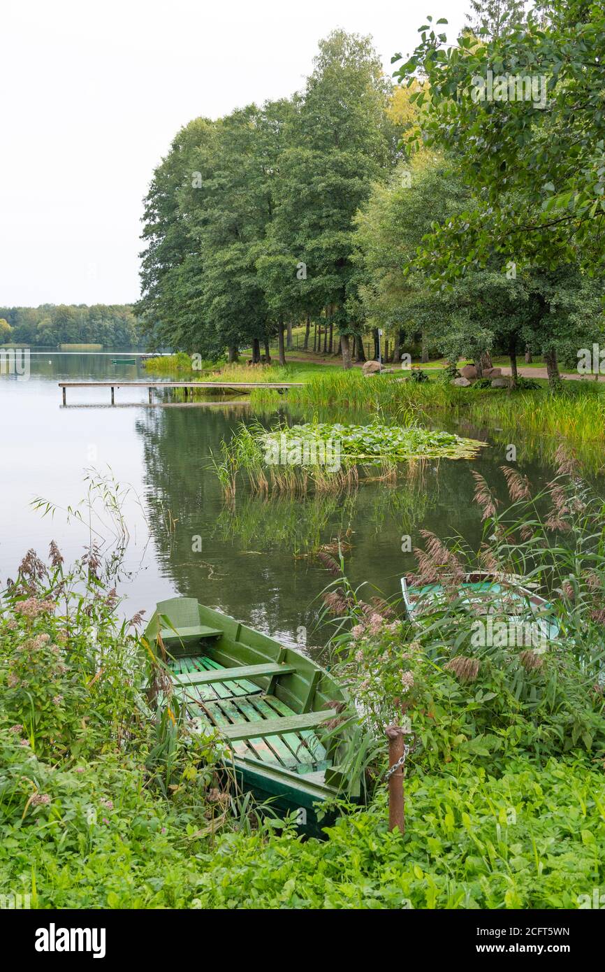 See Hintergrund mit Schilf im Wind, Seerosen Pflanze, grüne Natur, hölzerne Pier und Boote, vertikal Stockfoto