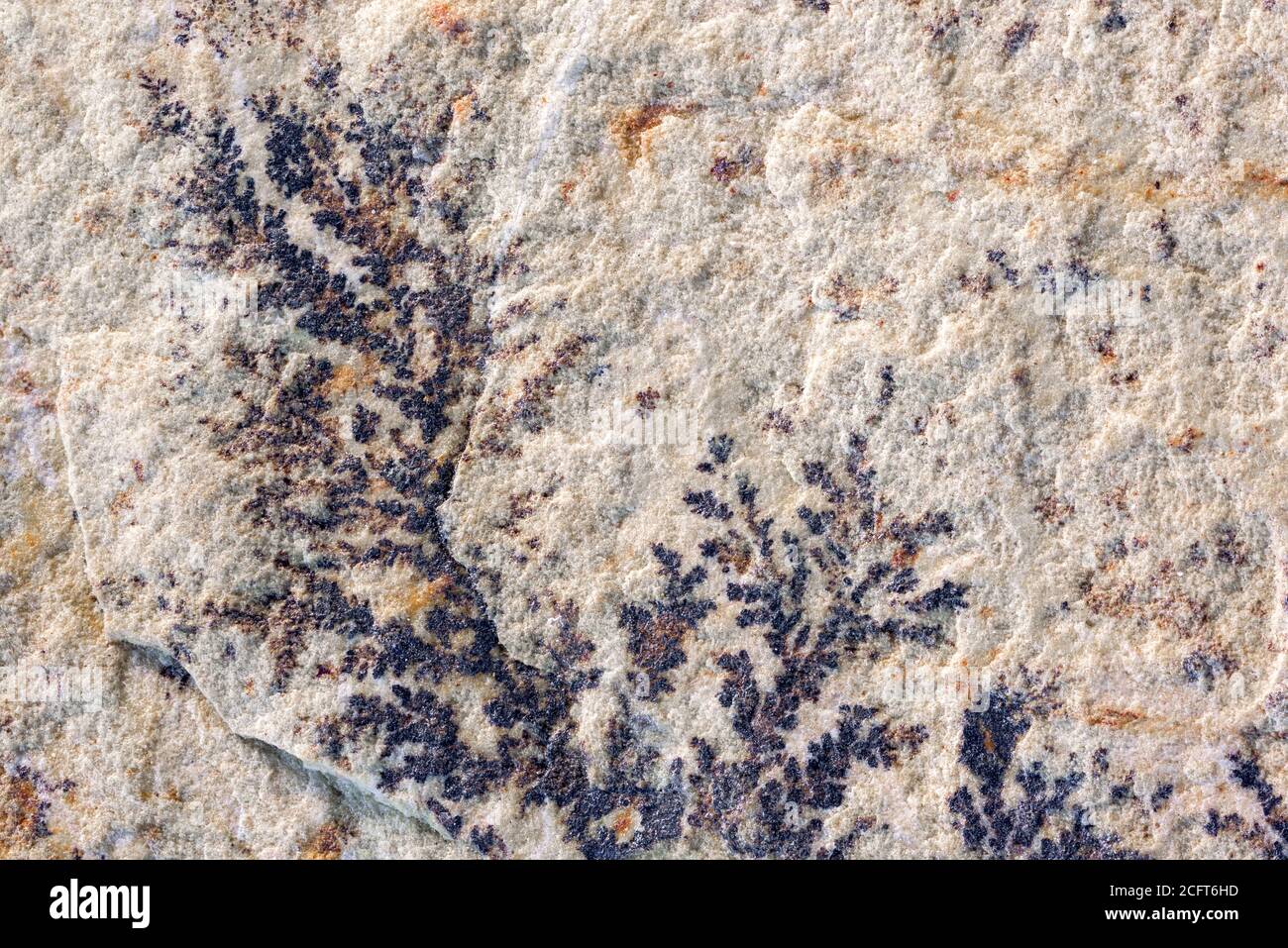 Nahaufnahme von Mangan auf Sandstein Stockfoto
