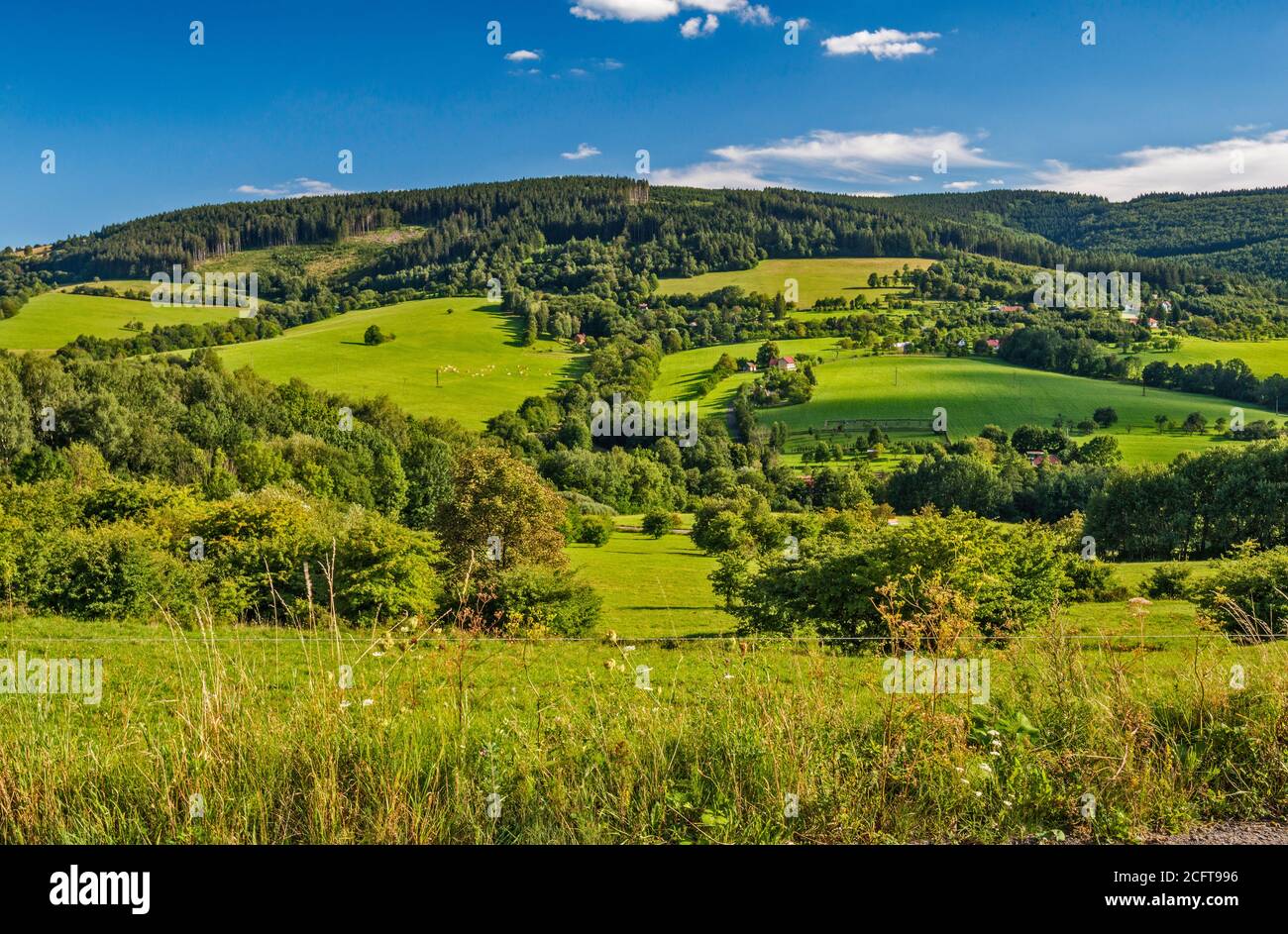 Hügel in den Weißen Karpaten, Blick von der Straße in der Nähe von Dorf Lopenik, Zlin Region, Slovacko (Mährische Slowakei), Tschechische Republik Stockfoto