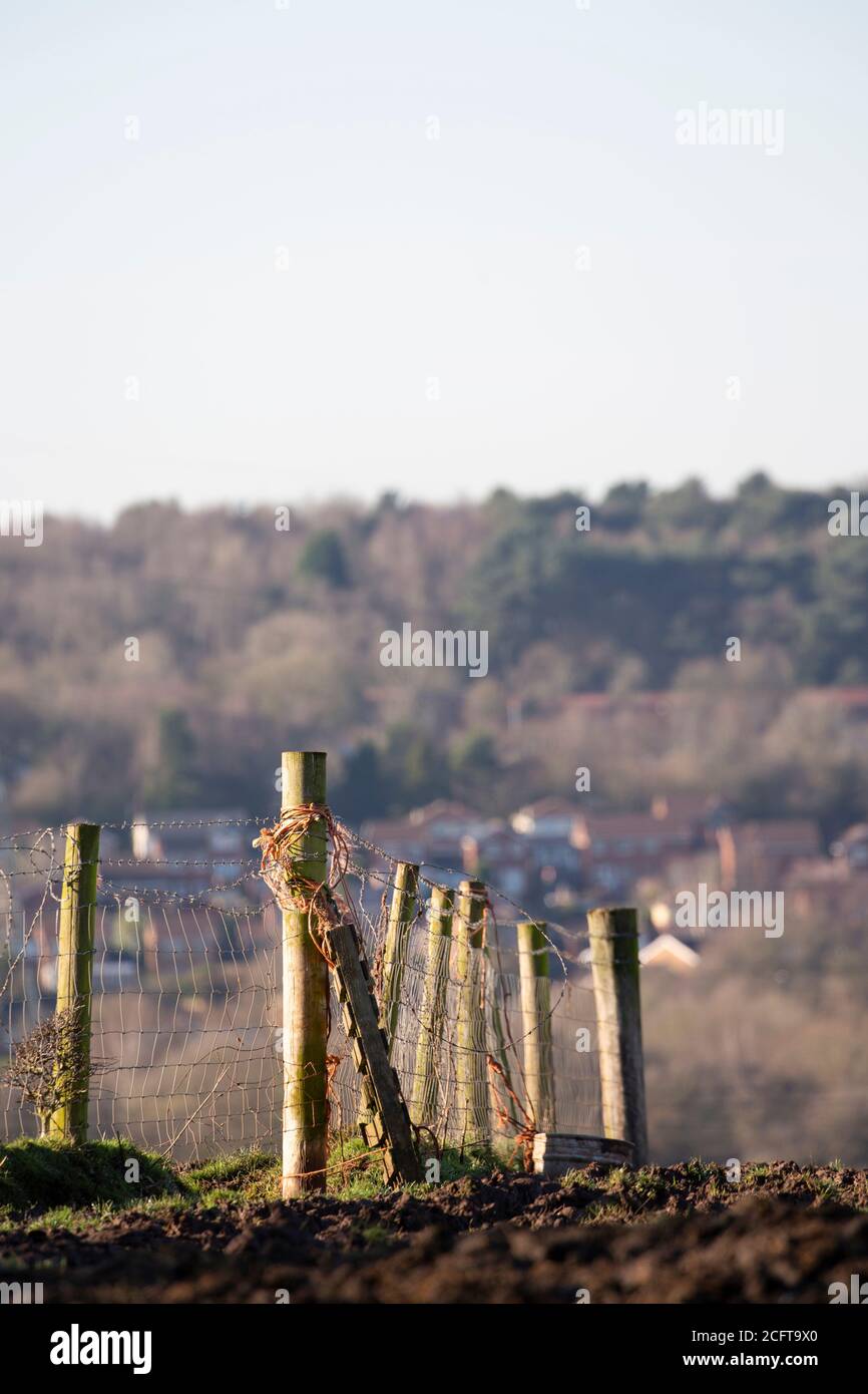 Drahtzaun in einem Bauernfeld Stockfoto