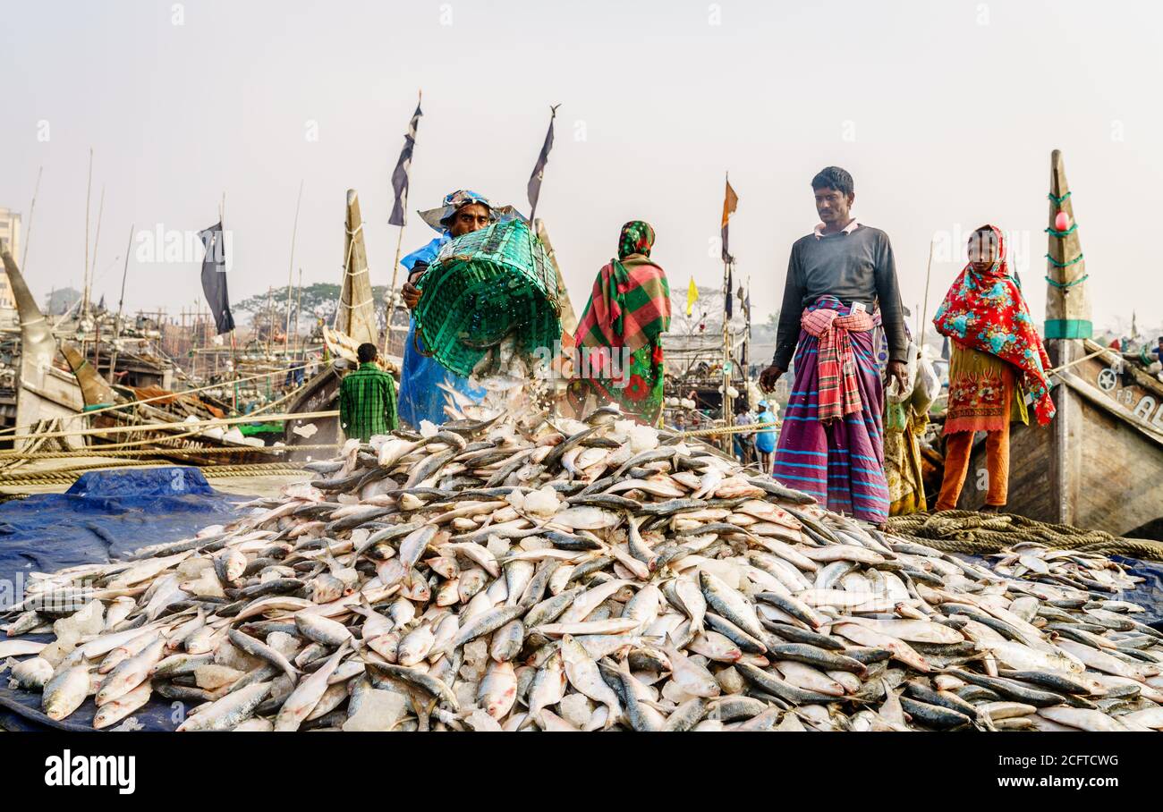 Chittagong, Bangladesch, 23. Dezember 2017: Fischer bringen frischen Fisch aus dem Boot im Hafen am Karnaphuli-Fluss in Chittagong Stockfoto
