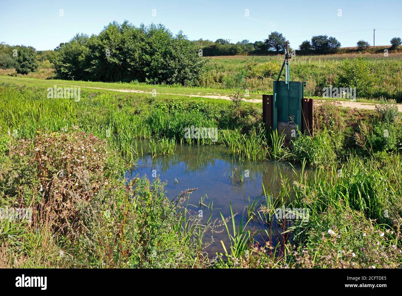 Ein Verschnitt mit Schleusentor, das Wasser aus dem North Walsham und Dilham Canal nördlich der Royston Bridge, North Walsham, Norfolk, England, UK leitet. Stockfoto