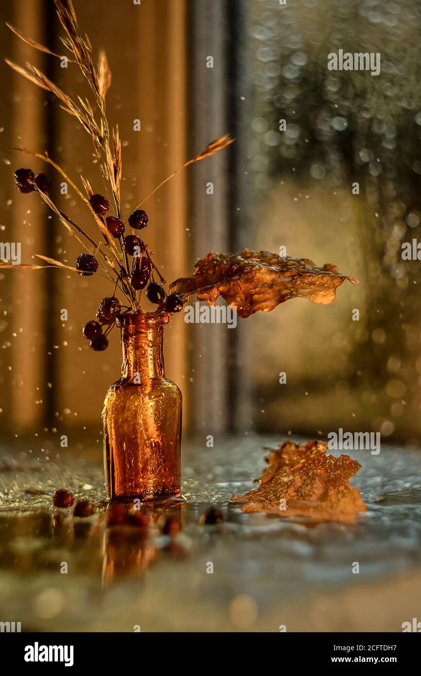 Herbstkomposition mit getrockneten Blättern und Beeren am Fenster Stockfoto
