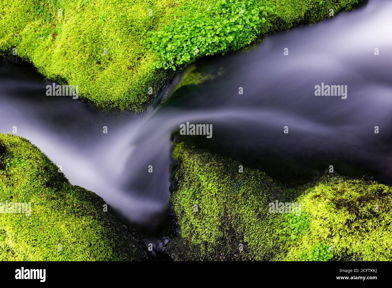 Detail von schönen Wasserfällen zwischen grünen moosigen Felsen, aufgenommen in einem Fluss in Charlevoix, Quebec Stockfoto