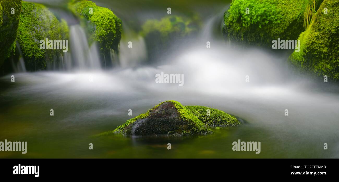 Detail von schönen Wasserfällen zwischen grünen moosigen Felsen, aufgenommen in einem Fluss in Charlevoix, Quebec Stockfoto