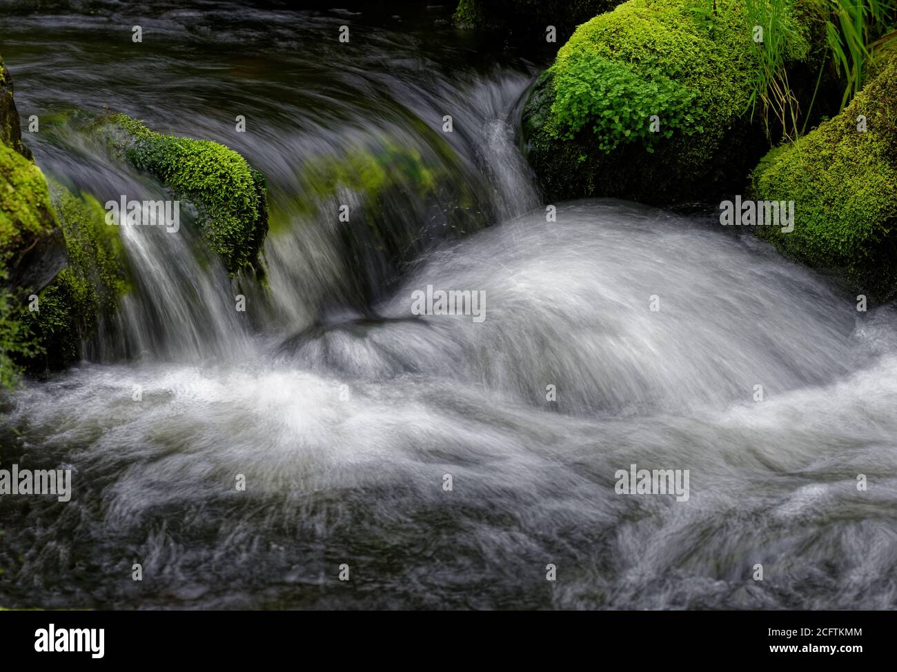 Detail von schönen Wasserfällen zwischen grünen moosigen Felsen, aufgenommen in einem Fluss in Charlevoix, Quebec Stockfoto