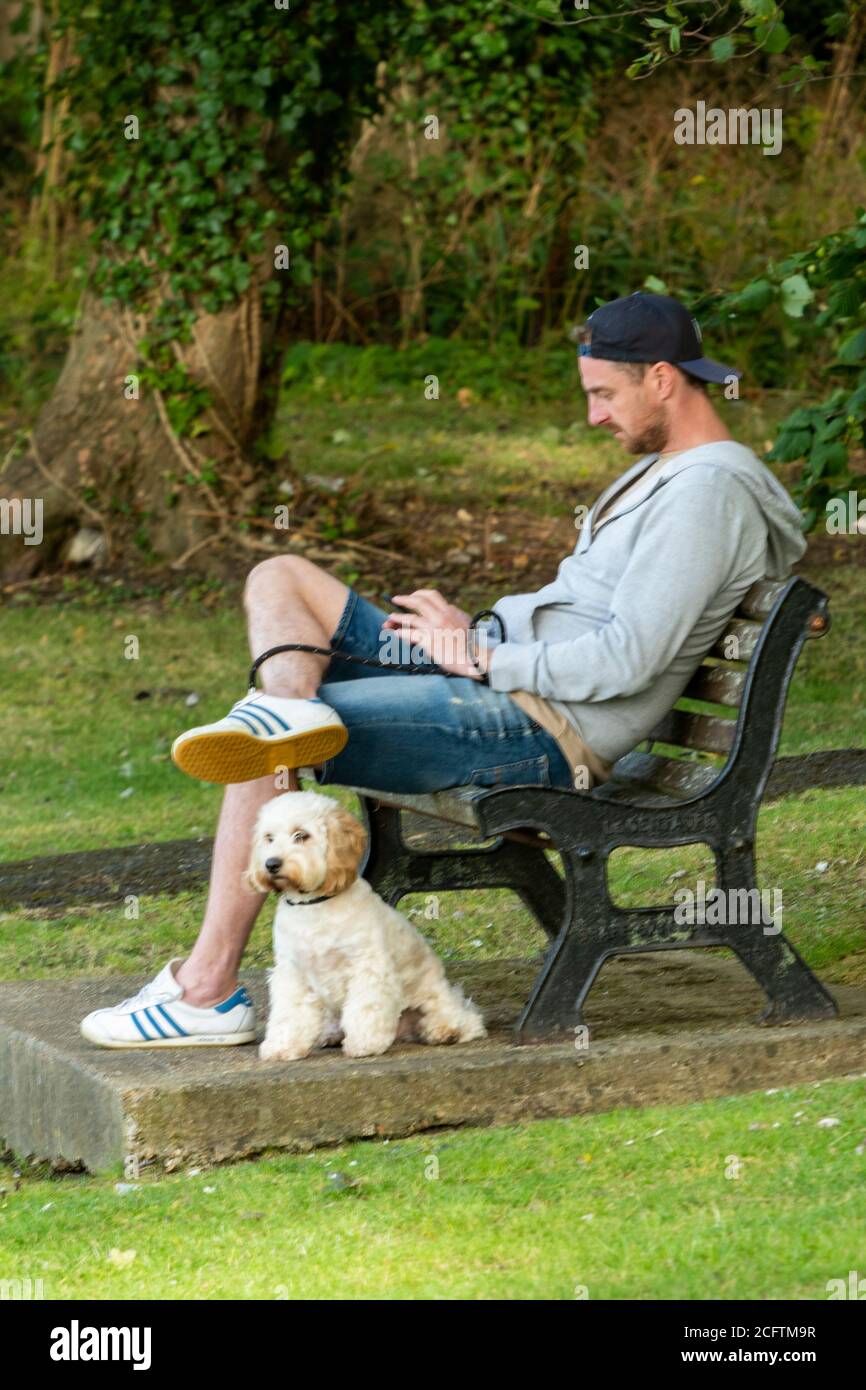 Ein großer, hart aussehender Mann mit einem kleinen niedlichen Hund auf einer Bank sitzend und auf sein Handy oder Mobilgerät schaut. Kuschelhunde. Stockfoto