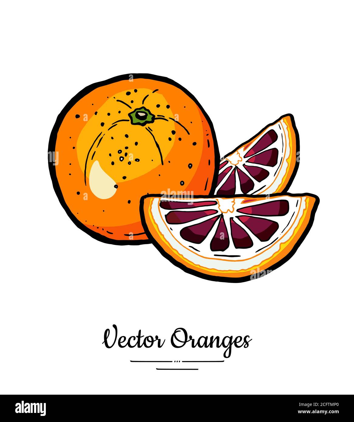 Orangen setzen Vektor isoliert. Ganze rote Orange geschnitten gehackt halbrunde Scheiben. Obst von Hand gezeichnet. Logo für süße Zitrusfrüchte Stock Vektor