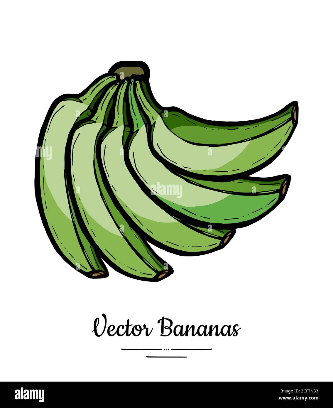 Bananen setzen Vektor isoliert. Ganze grüne Bananenbündel. Sammlung von süßen Früchten von Hand gezeichnet. Symbol für vegetarisches Logo Stock Vektor