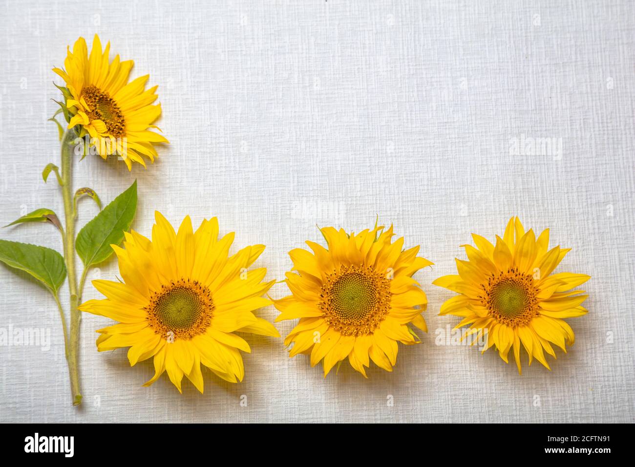 Auf Wiedersehen Sommer Stockfotos Und Bilder Kaufen Alamy