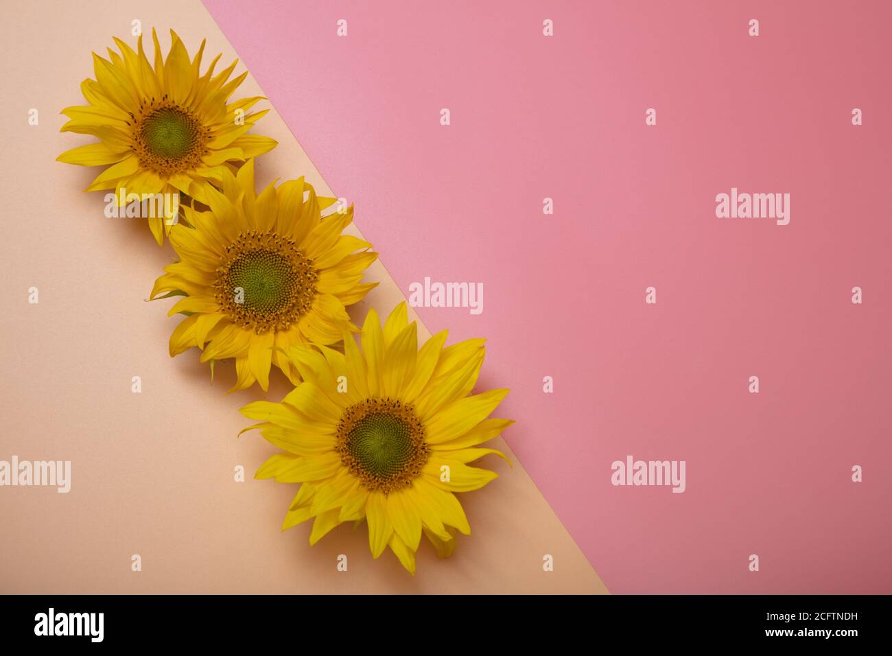 Auf Wiedersehen Sommer Stockfotos Und Bilder Kaufen Alamy
