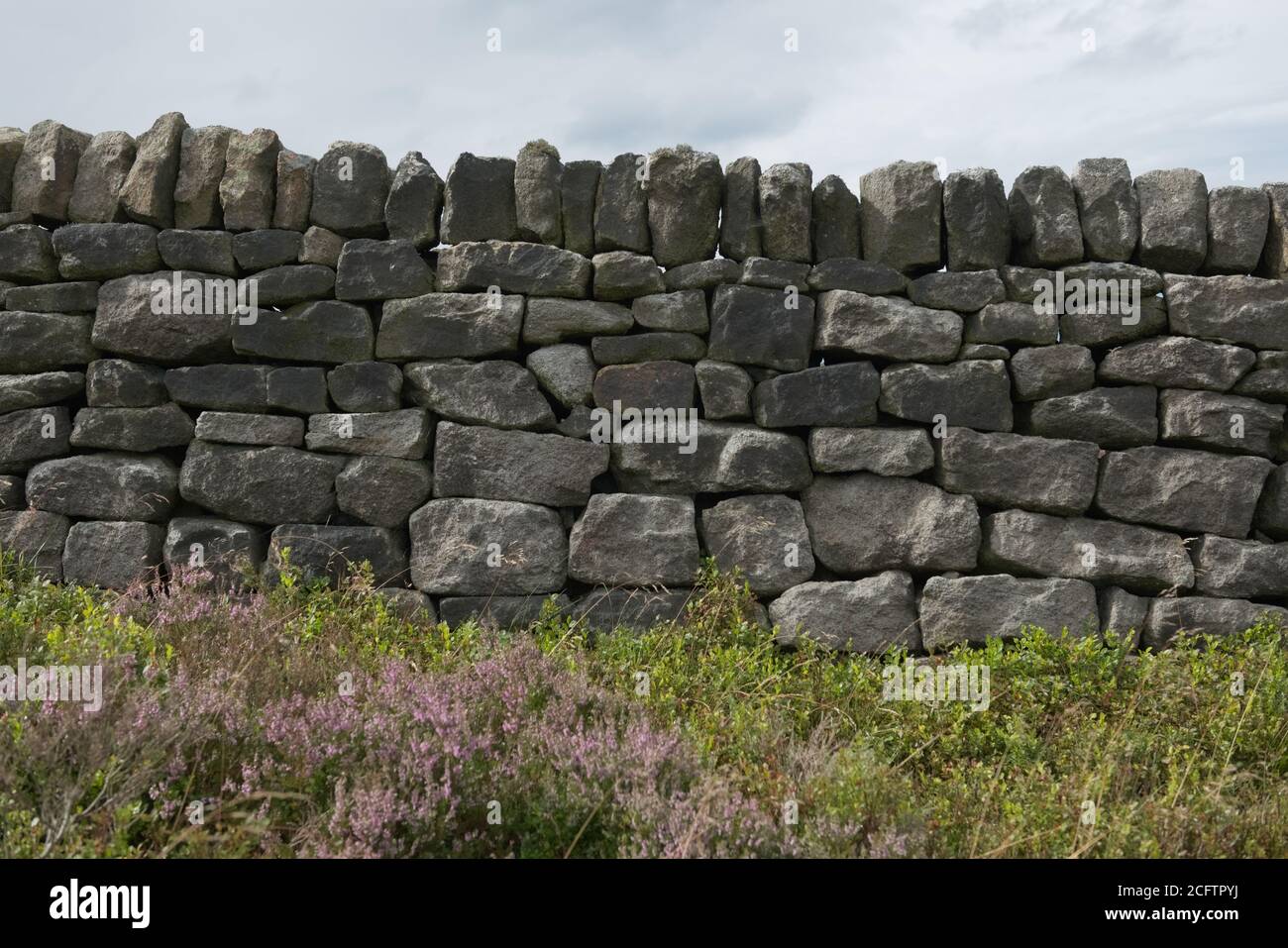 5 - viele verschiedene Größen von Steinen oder Ziegel bilden diese trockene Steinmauer. Einfache Hintergrundstruktur mit Peak District Heidekraut und Pflanzen im Vordergrund Stockfoto