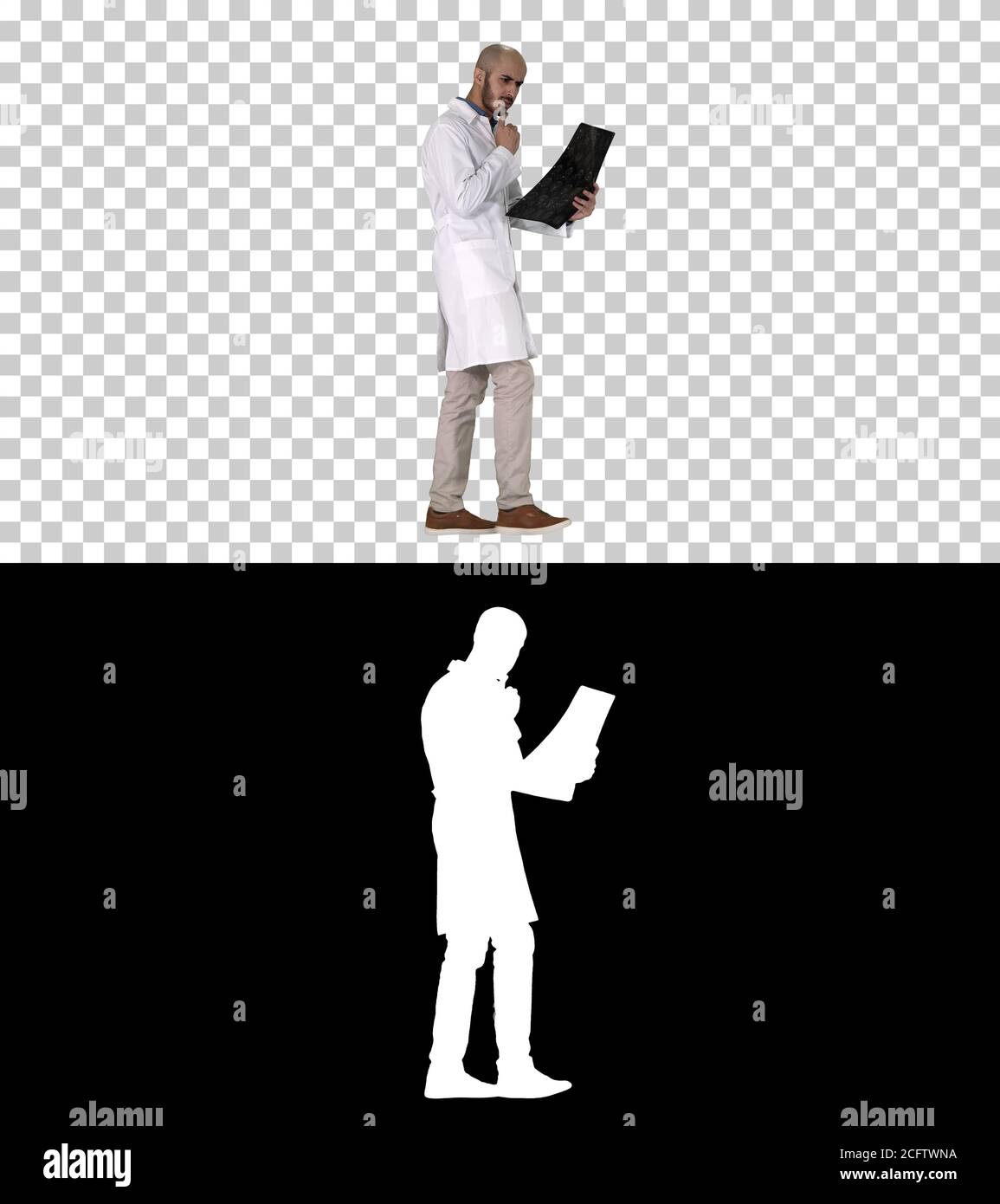 Junger männlicher Arzt, der beim Gehen eine MRT-Hirnuntersuchung liest und überprüft, Alpha-Kanal Stockfoto