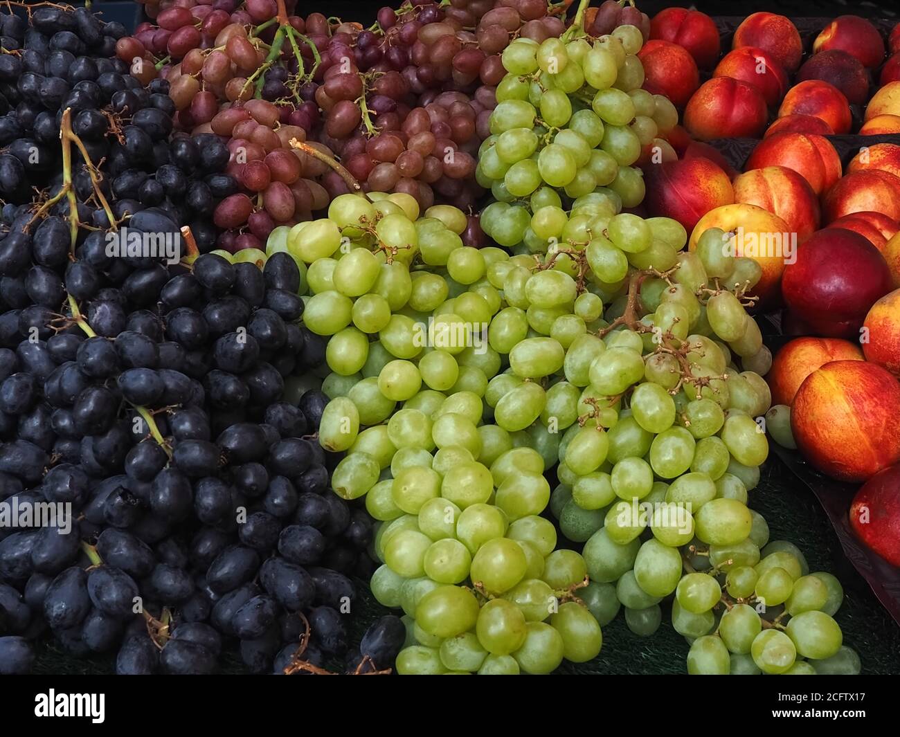 Süße Mischung aus blauen, roten und grünen Trauben Stockfoto