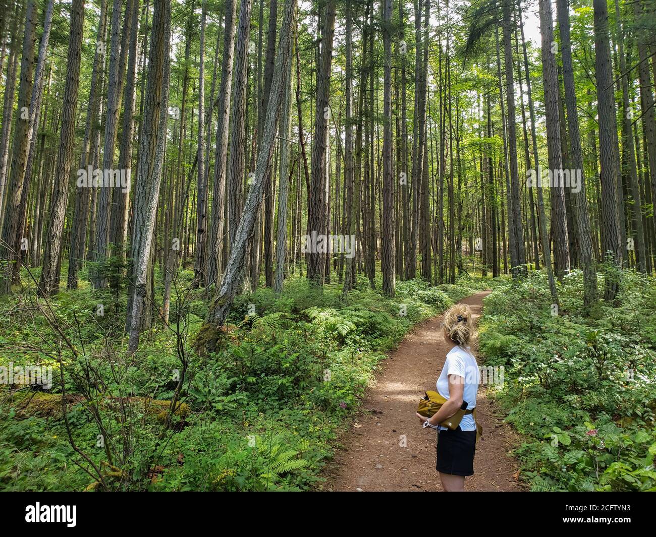 Eine Frau Wandern Trekking auf einem Feldweg Weg durch einen üppigen grünen Wald. Aktiver Lebensstil. Aktiver Rentner. Modell freigegeben. Stockfoto