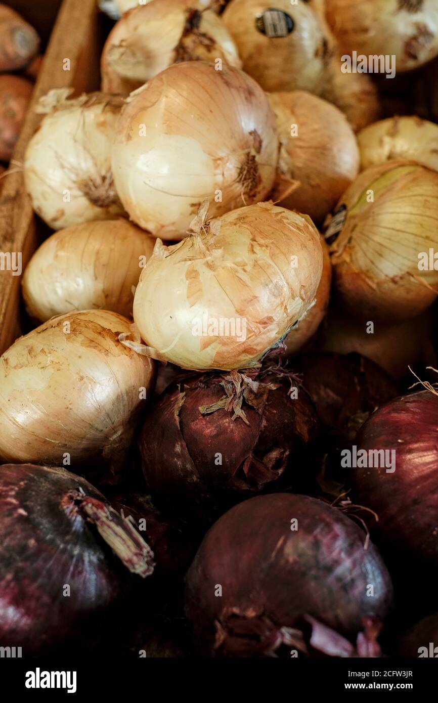 Weiße süße vidalia Zwiebeln neben roten Zwiebeln in einem Behälter auf einem Bauernmarkt, wo frisches Gemüse in Alabama, USA verkauft wird. Stockfoto
