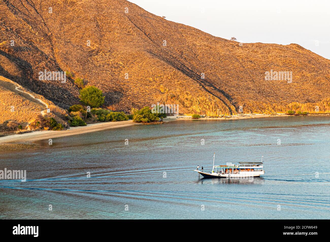 Ein Boot zieht eine Spur im Abendlicht vor der Küste des Komodo-Nationalparks, Ost-Nusa-Tenggara, Indonesien, mit einem einzelnen Passagier am Bug. Stockfoto