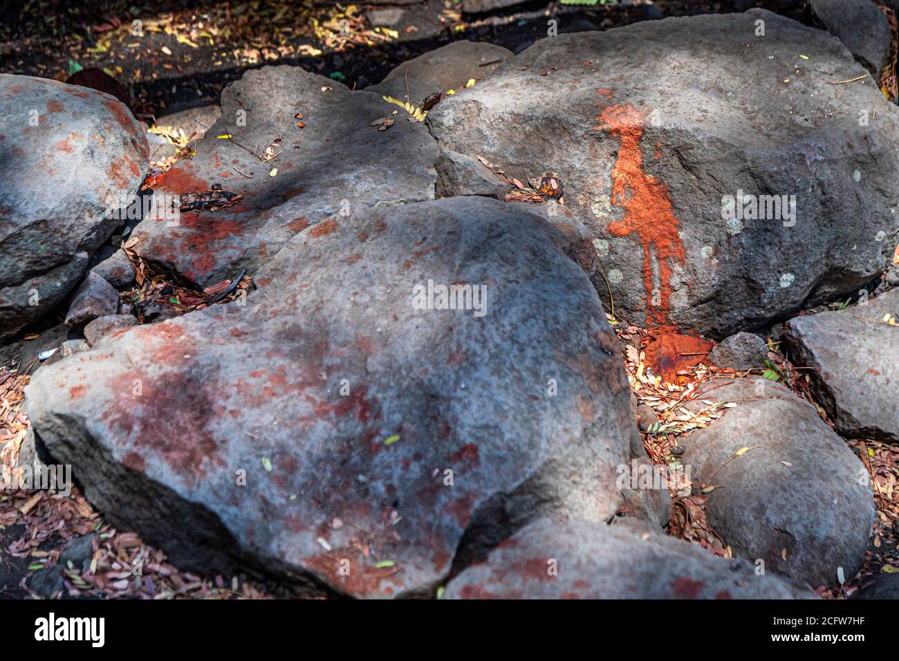 Der Boden ist übersät mit spatroter Betelfarbe, Sunda-Inseln, Indonesien Stockfoto