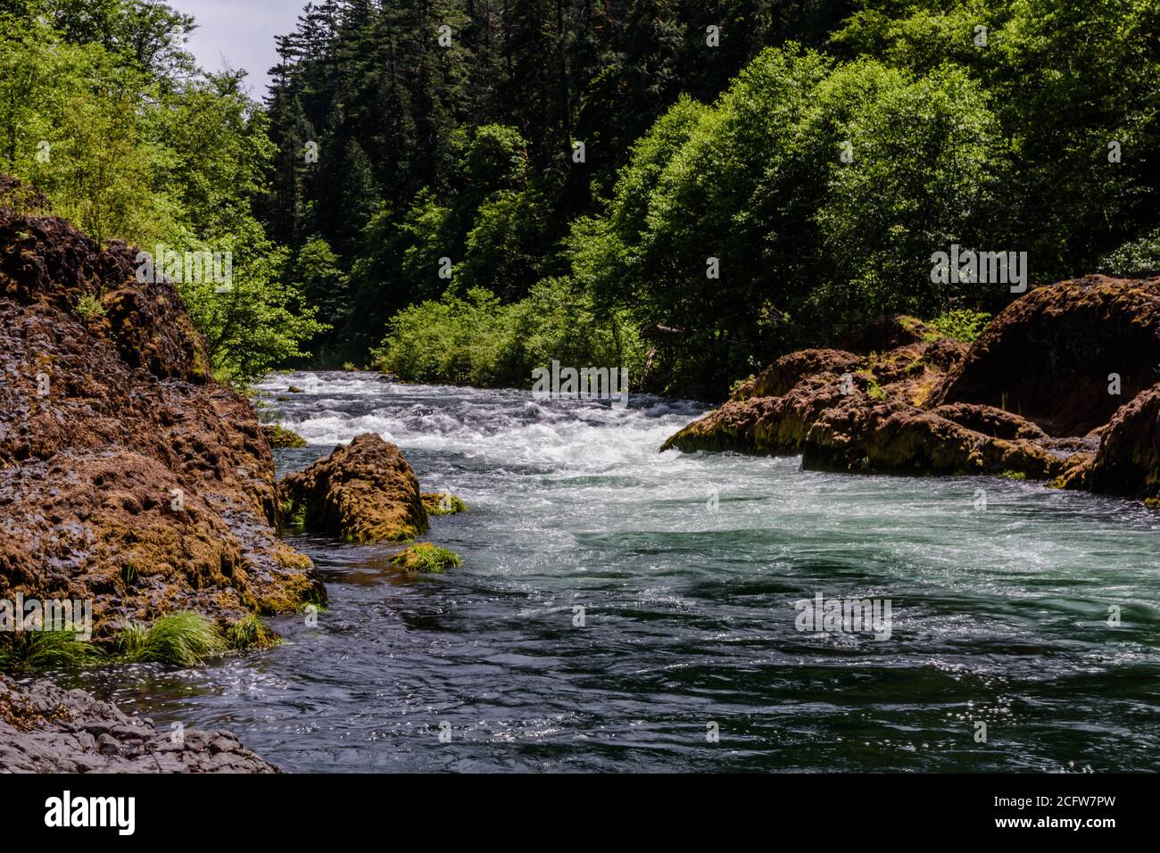 Clackamas River in MT Hood National Forest, Oregon. Stockfoto